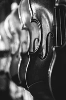 pexels-violins-1868064_1920.webp